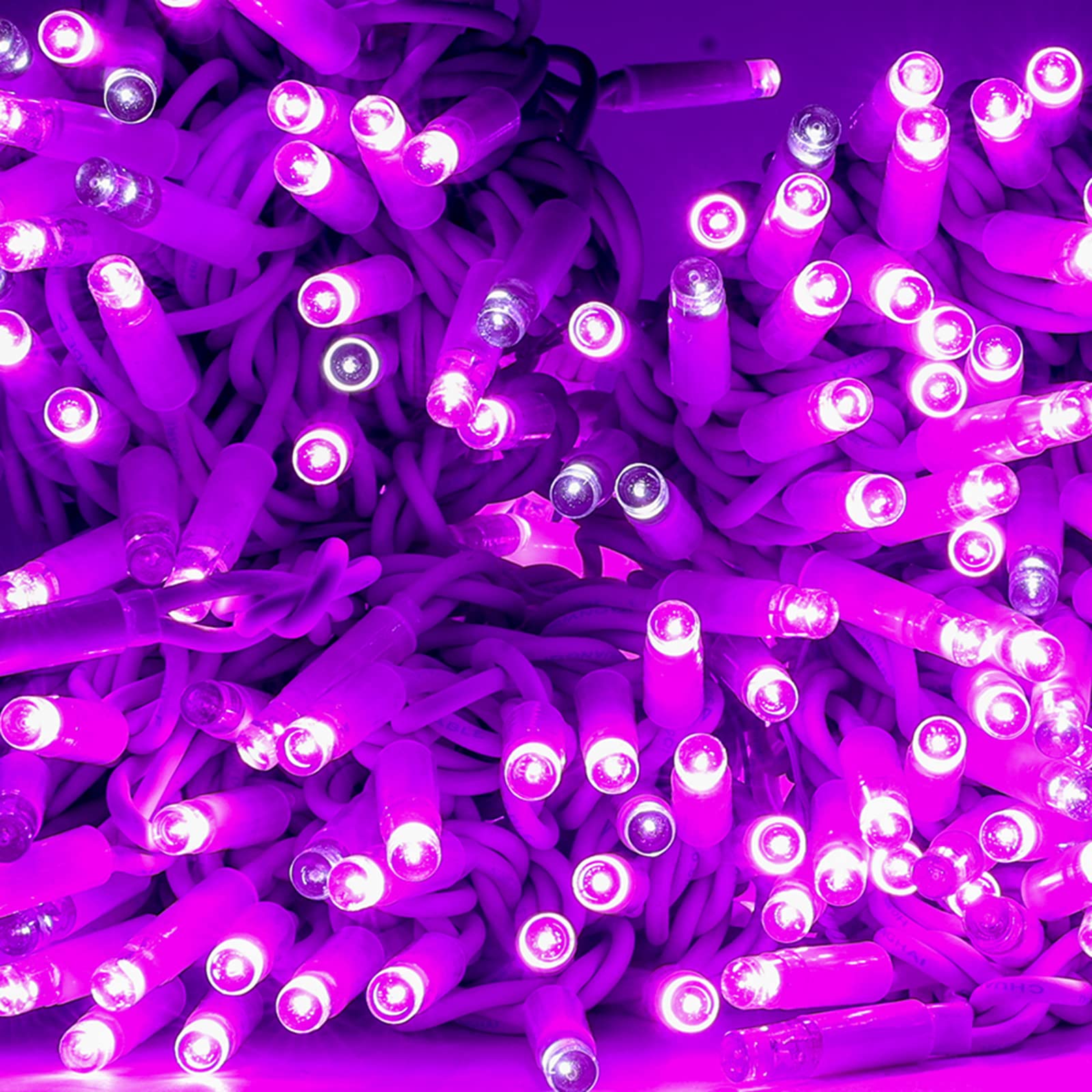 Luccika Cadena de luces de Navidad LED profesional, MaxiLed de 8 mm, Flash, para jardines, tiendas, bares, exteriores (violeta con flash blanco hielo, 30 metros, 300 LED)