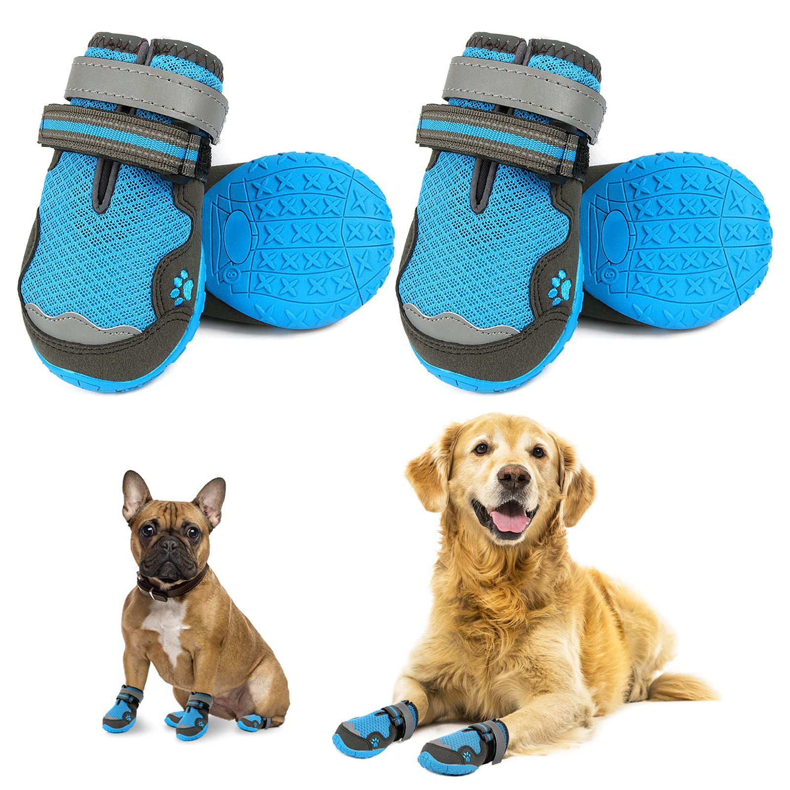 Do Dogs Need Boots In The Summer