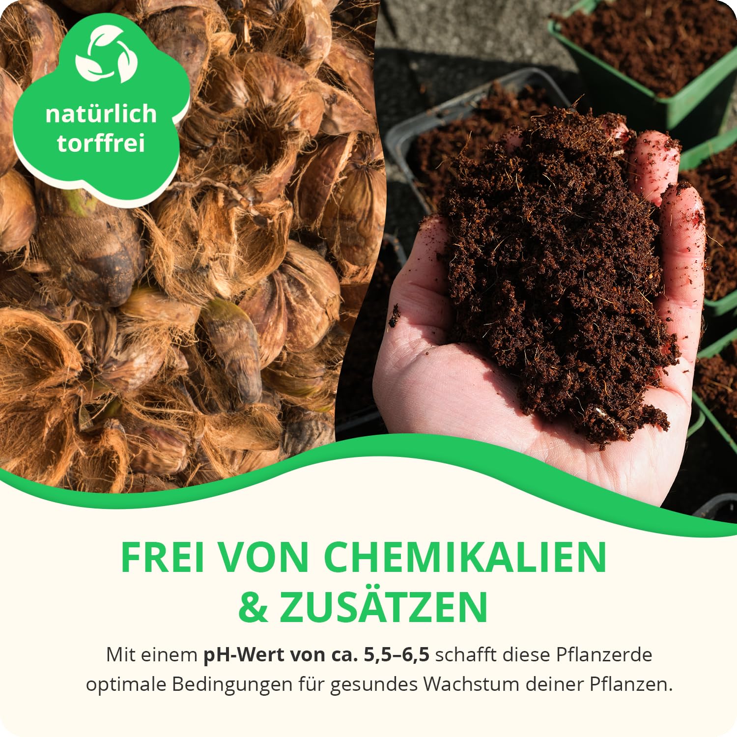 30x650g hochwertige Kokoserde für Pflanzen & Blumen | Block quillt zu 9L Pflanzenerde, torffreies Kokossubstrat, 100% natürliche Kokosfaser Erde mit pH 5,5–6,8