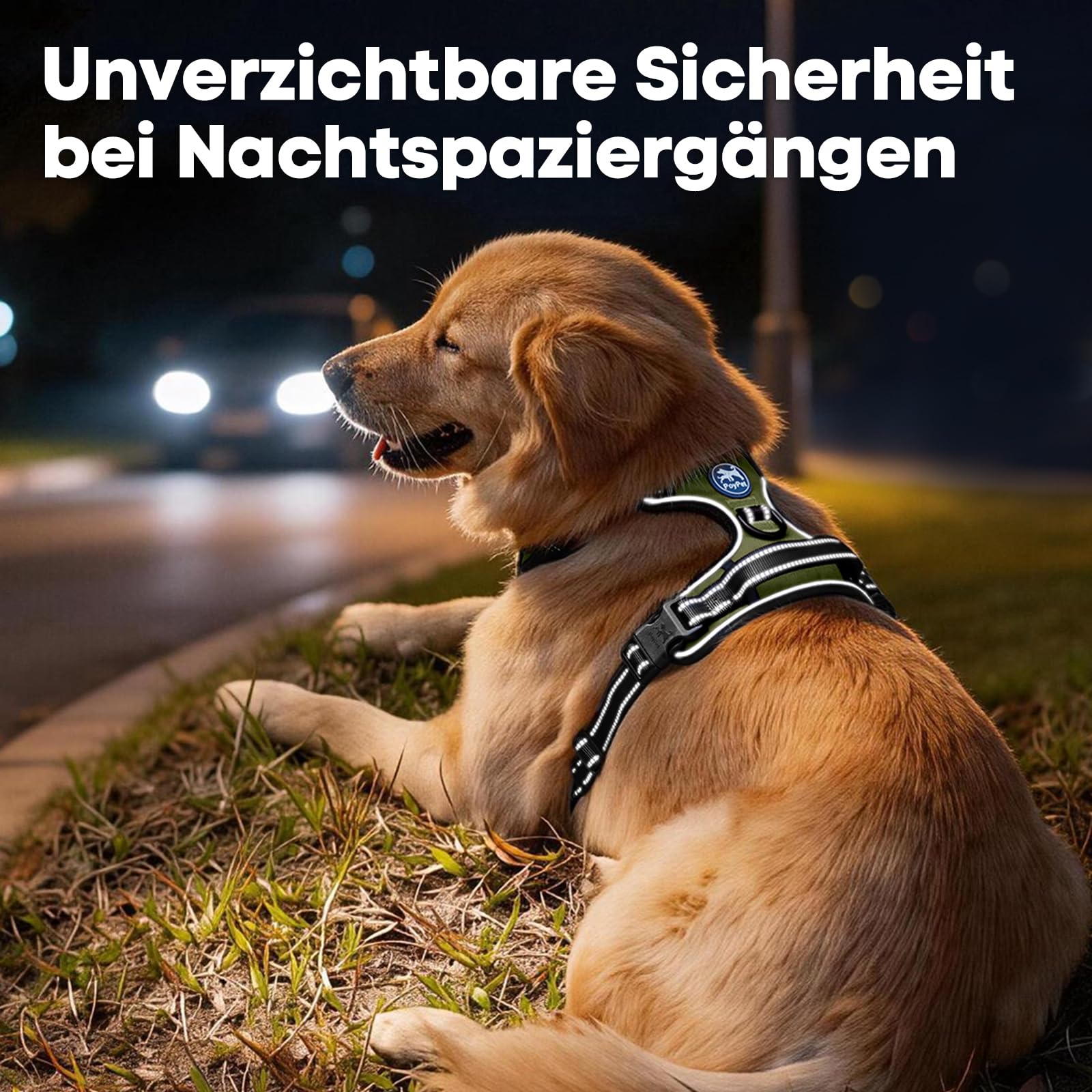 PoyPet No Pull Harnais pour chien - Harnais réfléchissant avec 2 attaches de laisse et poignée de contrôle simple pour chiens de petite et moyenne taille (vert armée, taille L)