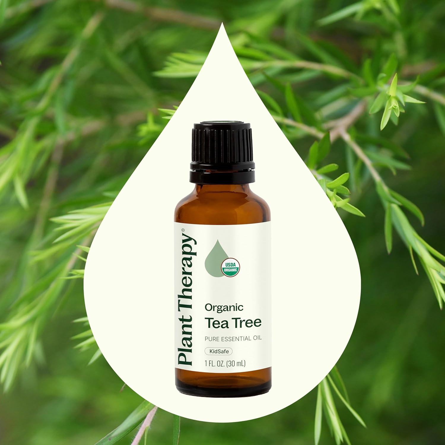 Plant Therapy Organic Tea Tree Oil (Melaleuca) 100% Pure, USDA Certified Organic, Undiluted, Natural Aromatherapy, Therapeutic Grade 30 mL (1 oz) - Image 3