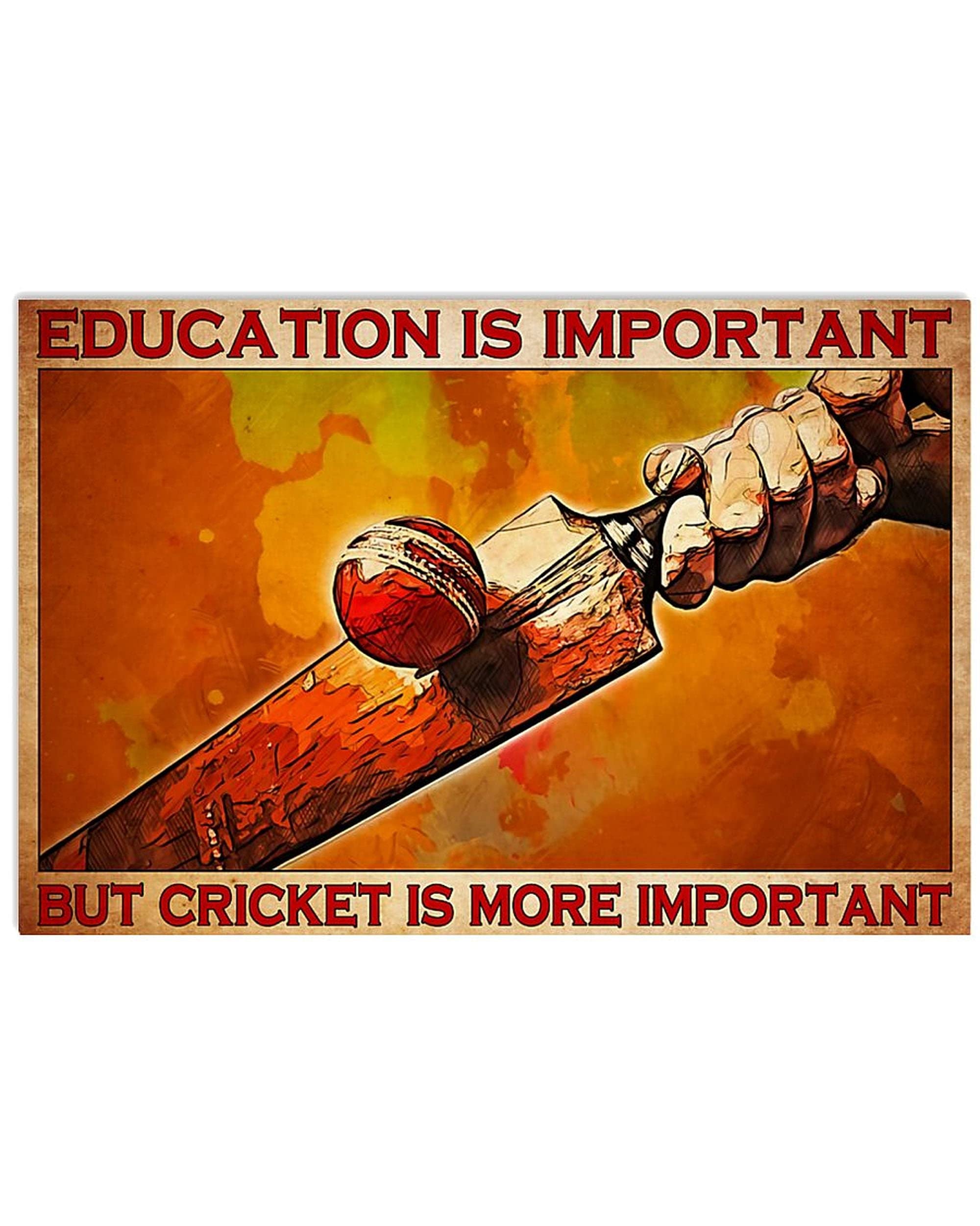 Biopracess Education Is Important But Cricket Is More Important Metal Sign Bathroom Decor Vintage Mural 8x12 inches