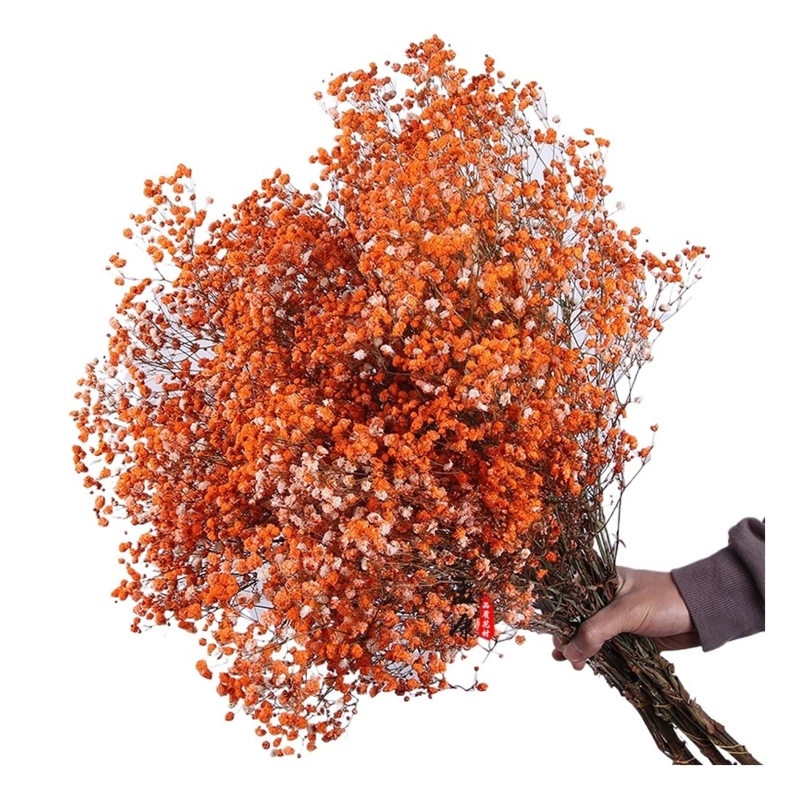 WJIAYAO dried gypsophila flowers 30-100g Dried Gypsophila Flower Baby Breath Bouquets Floral Branches for Home Decor Wedding Garland Decoratio(Color3,About 60g)