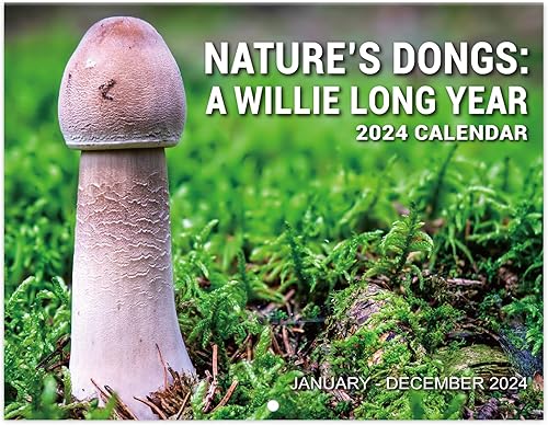 Regalos de broma  Calendario divertido 2024, 12 meses desde enero de 2024 a diciembre de 2024, 11 x 17 pulgadas (abierto), calendario de pared con disponible en Yaxa Colombia