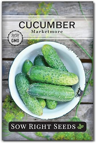 Sow Right Seeds - Semillas de pepino Marketmore para plantar - Paquete de reliquia sin OMG con instrucciones para plantar y cultivar un huerto