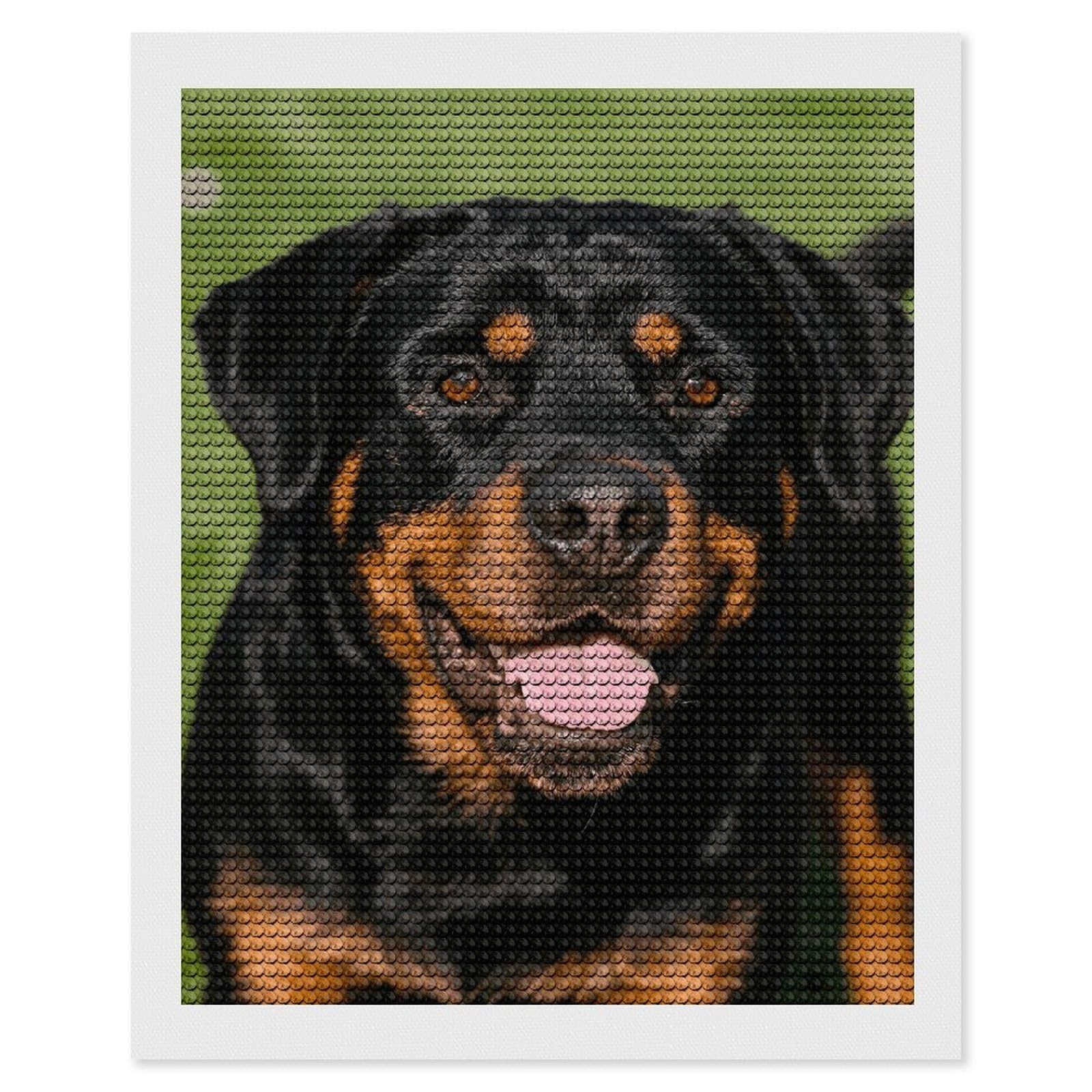FodPand Rottweiler 5D Diamond Painting Kits for Adults Beginners Full Drill Round Diamond Dots Pictures Gem Art Supplies for Home Wall Room Decoration DIY Craft Set Gift 16x20
