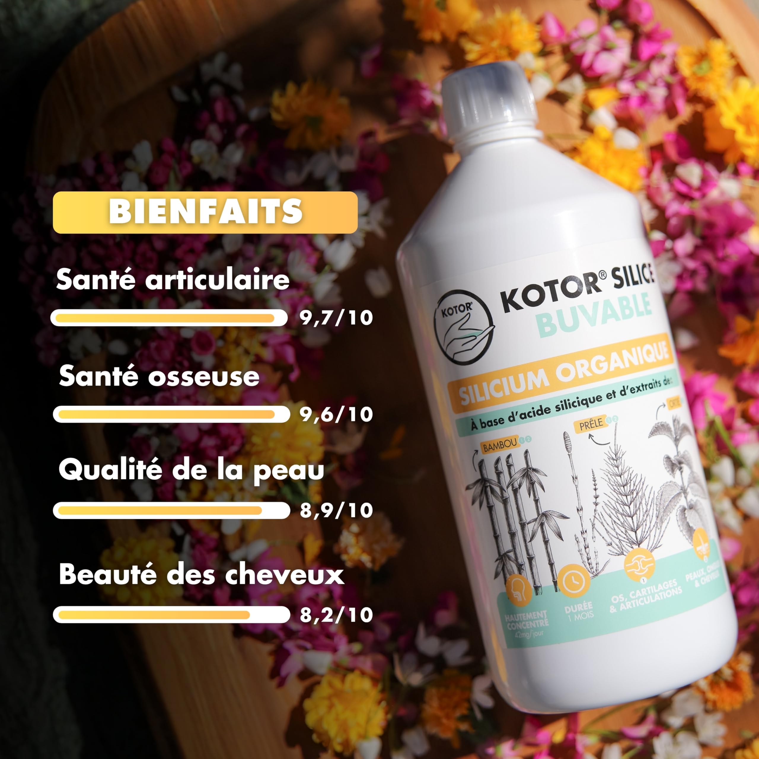 KOTOR SILICE BUVABLE 1L | Set di 3 | Silicio organico francese e naturale, salute delle articolazioni, cartilagine, ossa, pelle, capelli, unghie | silicio + ortica + equiseto + bambù | 3 mesi