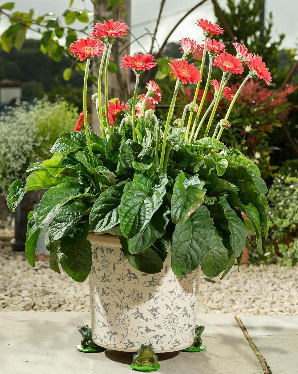 Potty Feet Green Frog Figures Plant Pot Feet Planter Riser