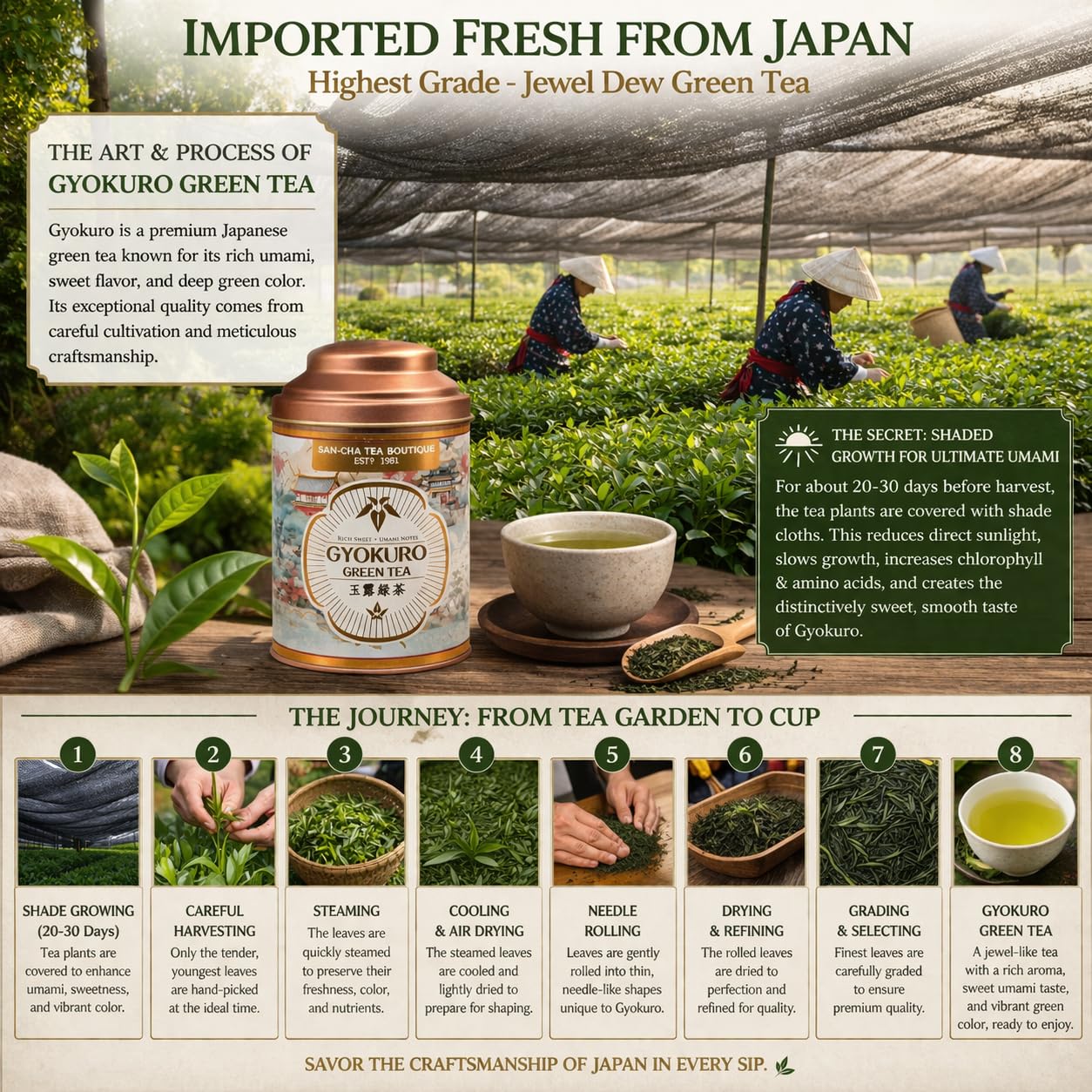 Sancha Tea Boutique, thé vert Gyokuro, thé vert japonais de haute qualité, notes umami riches et sucrées, rosée joyau et feuilles japonaises de qualité supérieure, 50 g de feuilles en vrac