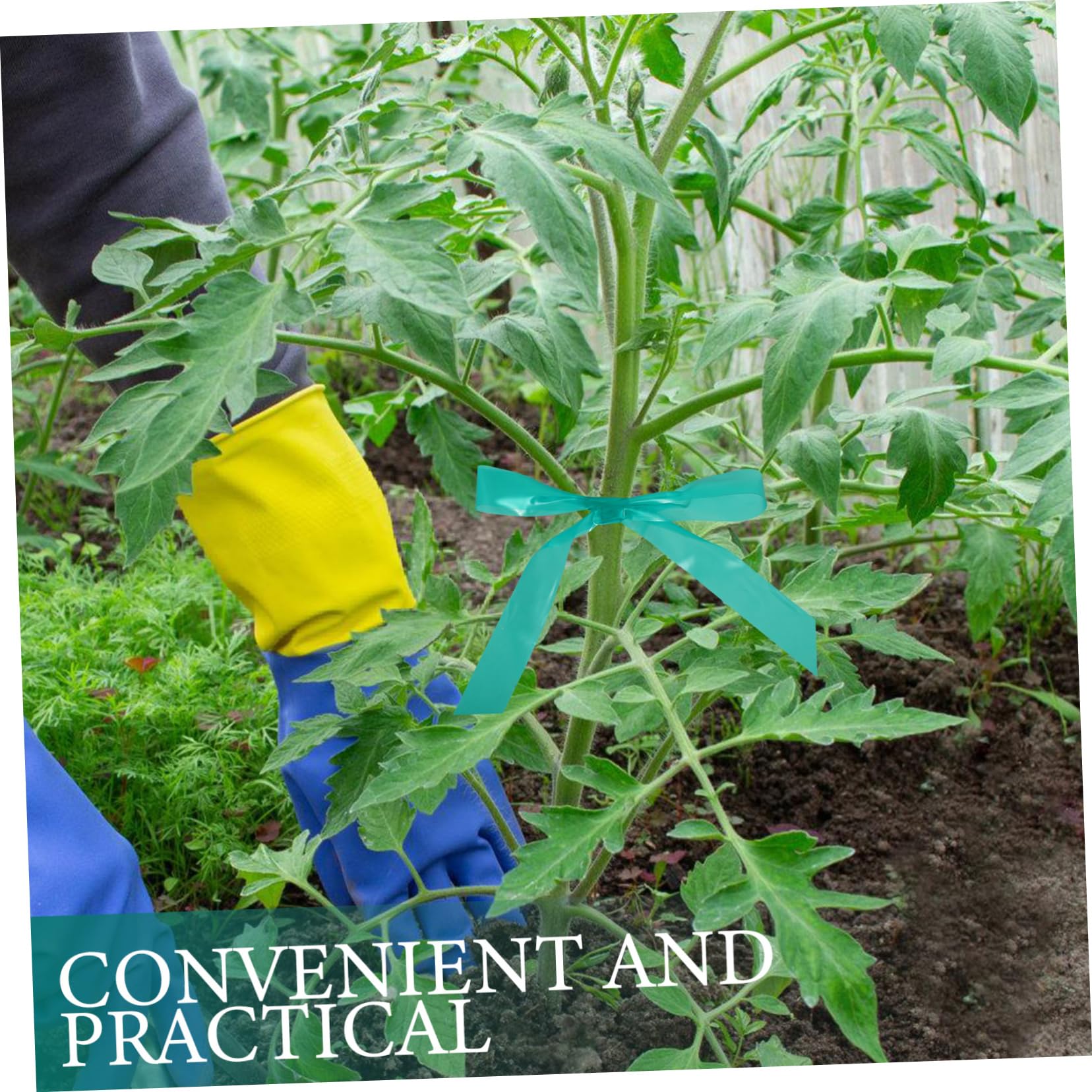 BESPORTBLE 6 Rollos De De Corbata Cintas De Plantas En Ciernes Cintas De Reparación De Plantas Lazos De Jardín De Corbata Elástica Ancha Lazos De Plantas para Plantas Aire