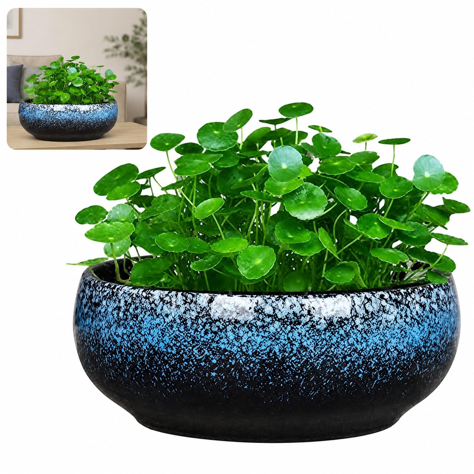 TJKK Ceramic Flower Pot Round Succulent Pot Hydroponic Plant Container Garden Home Planter Shallow Glazed Planter Pots