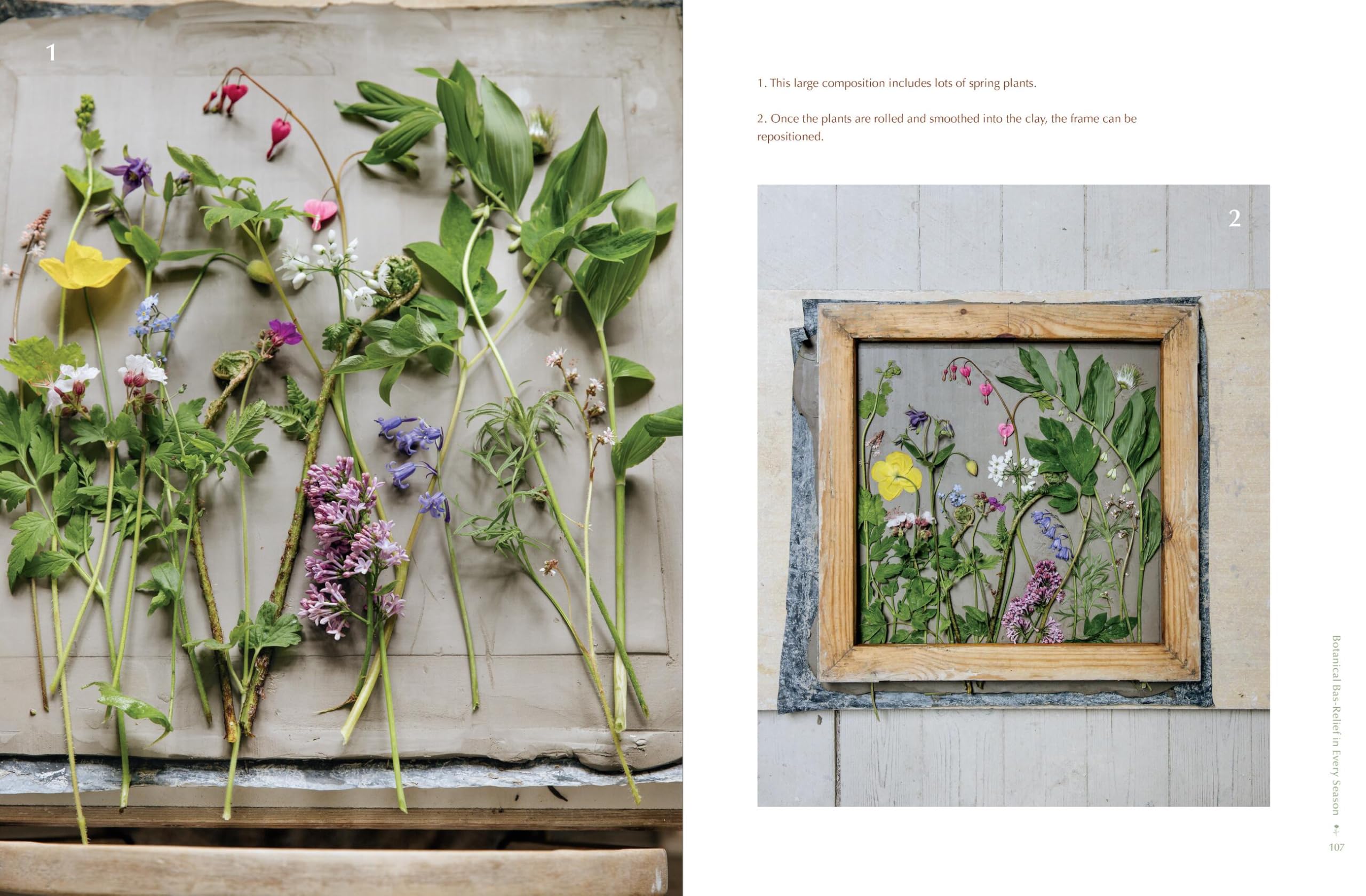 Casting Flowers: A Step-by-Step Guide to Creating Beautiful Botanical Art