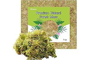 7oz Natural Orchid Moss for Your Gardening Needs