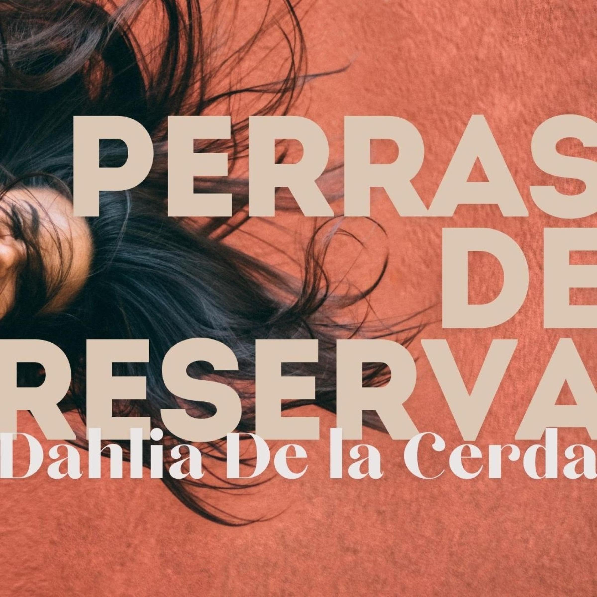 Cover art for Perras de reserva