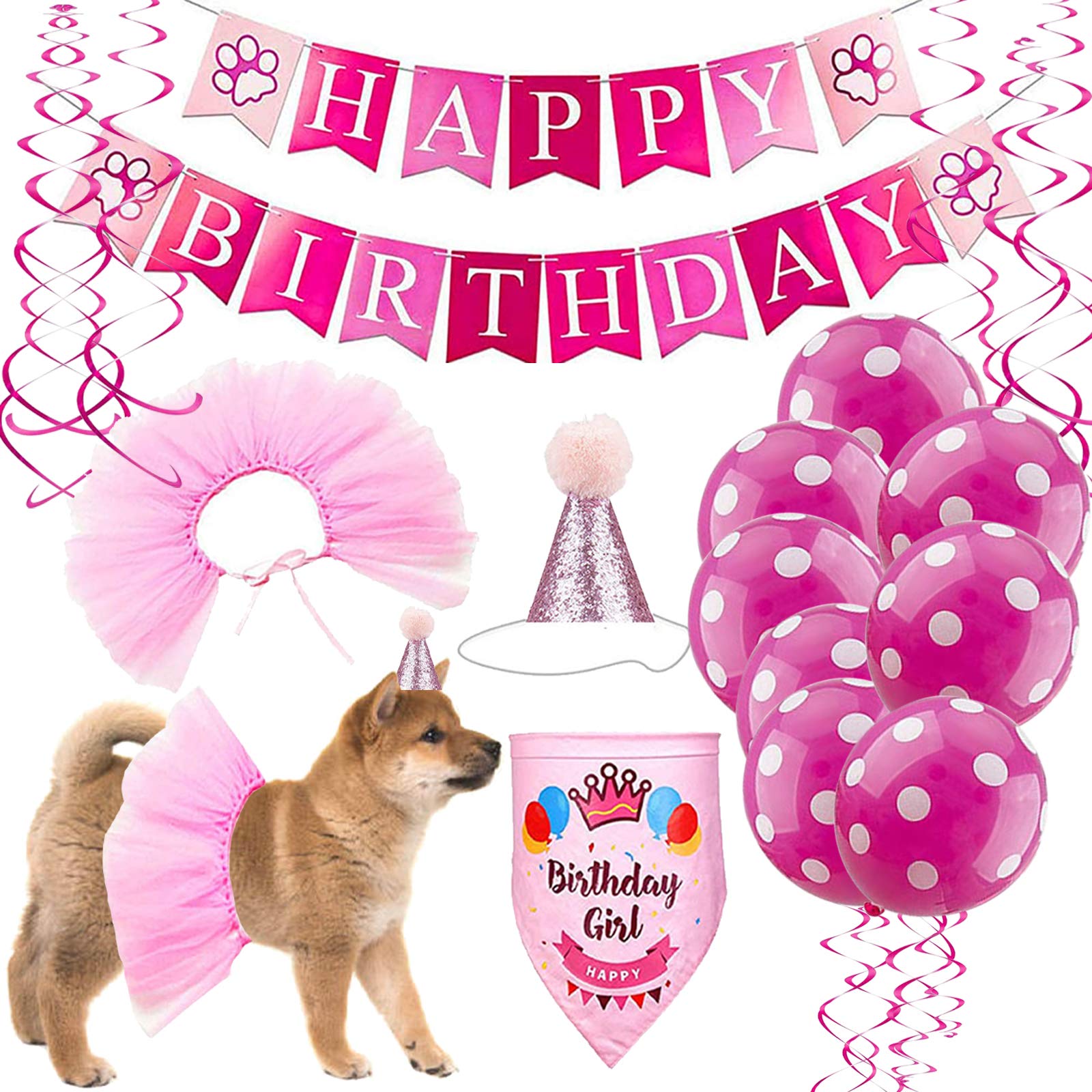 Happy Birthday Dog Outfit