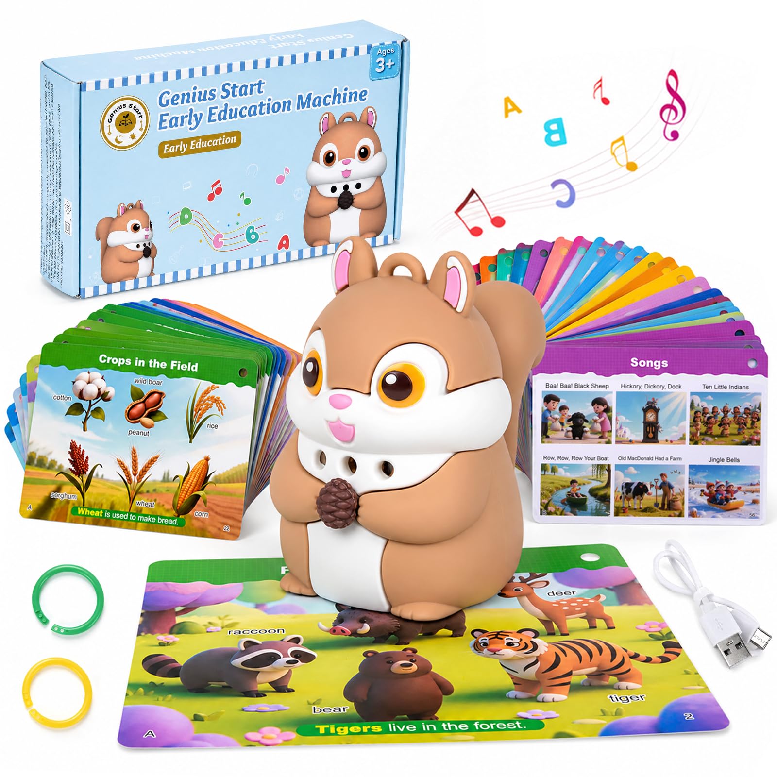 Phonics - Tarjetas educativas con bolígrafo para niños a partir de 3 años, tarjetas de doble cara, palabras, tarjetas interactivas para aprender a leer, preescolar, guardería, juguetes educativos sin