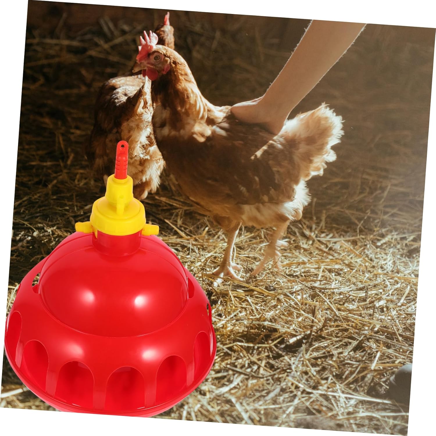 1Pc Thickened Poultry Water Drinker Automatic Dispenser for Chickens Ducks and Quails Convenient Red Water Feeding for Home and Farm Use