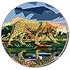 Product Photo 4