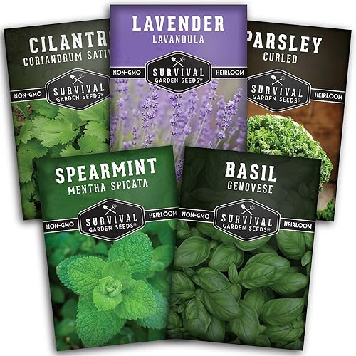 Colección Popular Herb - Paquete variado de 5 semillas de hierbas culinarias para plantar, menta verde, albahaca, cilantro, lavanda, perejil,