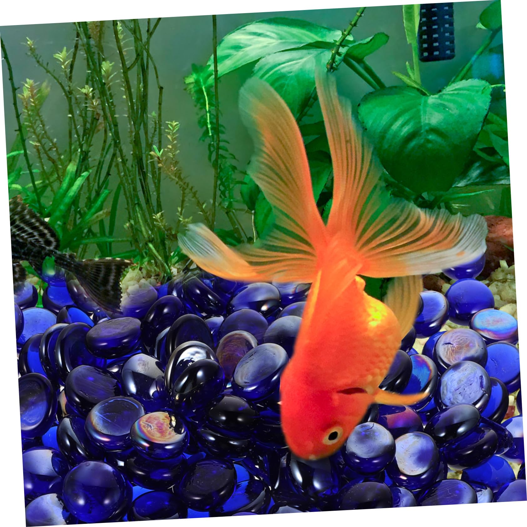 de Décoratives Bleu Profond Galets pour Aquarium Ignifuges pour Foyer Cheminée et Bassin Ornements Durables et Réutilisables pour Décoration Intérieure et Extérieure