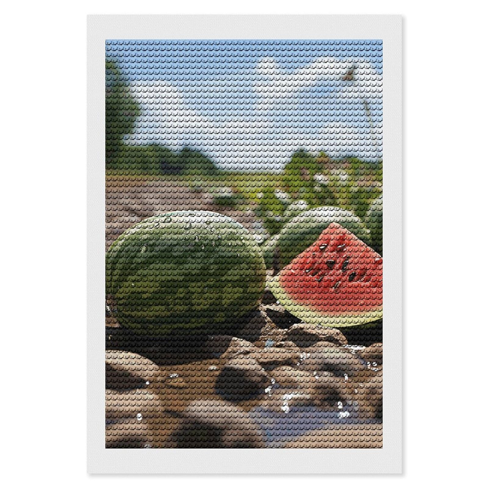 Diamond Painting Kits for Adults - DIY Diamond Art Kits for Beginners - Full 5D Paint Drill Diamond Dots Paintings- Watermelon on The Ground Diamonds Pictures Gem Art And Craft Wall Decor 8"x12"