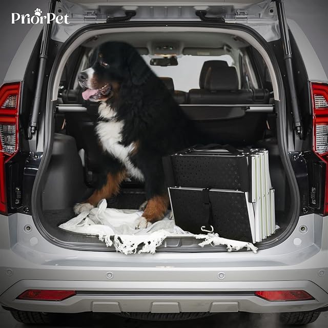 Foto 6 de 8 de Escalera para Perros pequeños o Grandes PRIORPET - Marca Que Brilla en la Oscuridad - Rampa de Coche Plegable