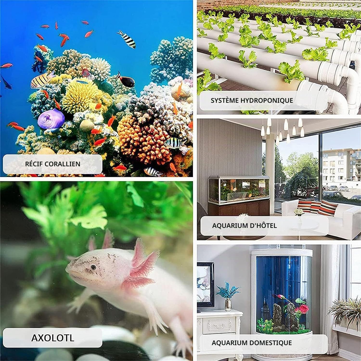 160L/300L/500L Refroidisseur d'eau D'aquarium,Thermostat D'aquarium,Fish Tank Chiller Refroidisseur De Réservoir Poisson,pour Culture Hydroponique d'eau Salée/d'eau Douce 300L
