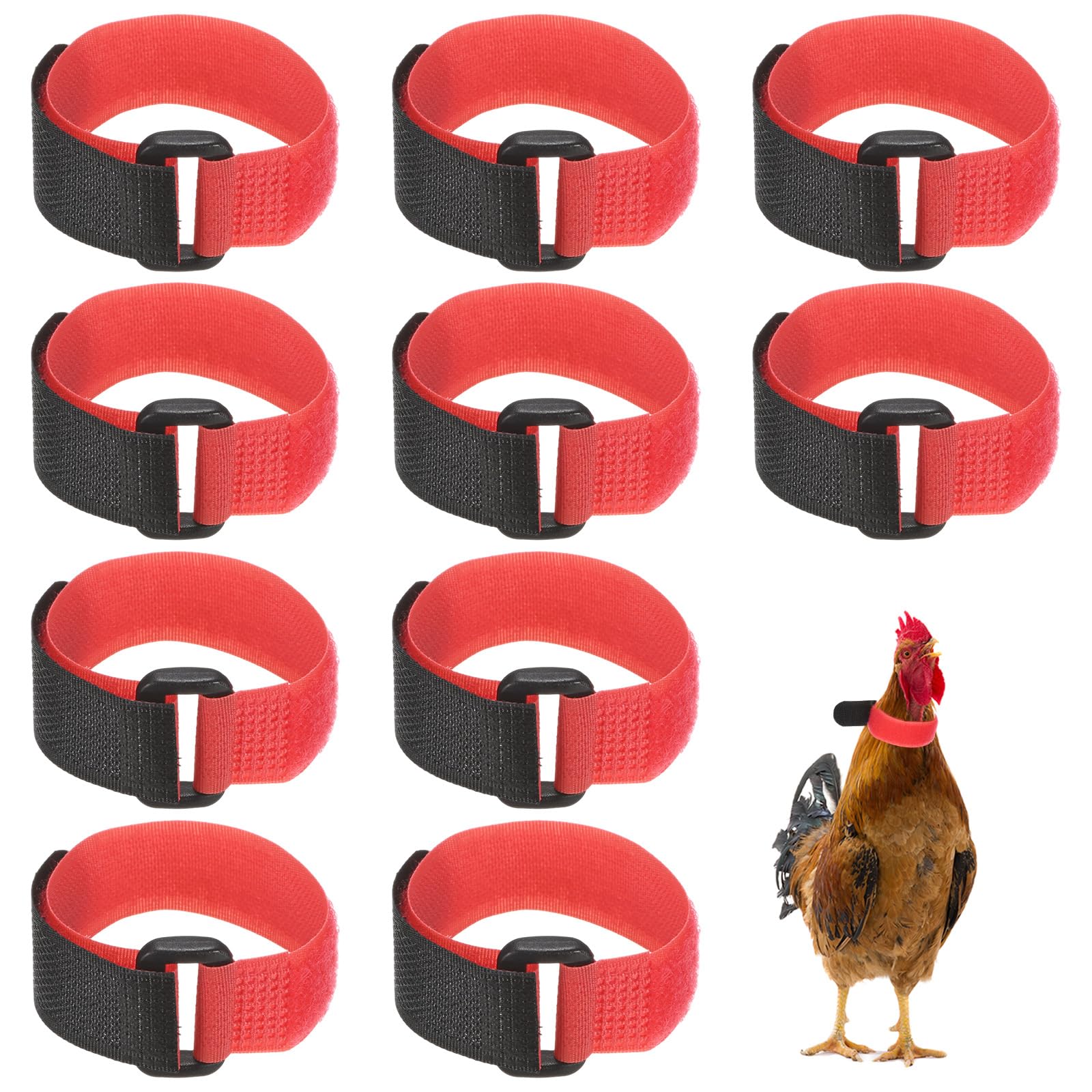 M METERXITY 10-Pack Rooster Collars 8.07" x 0.79" Red