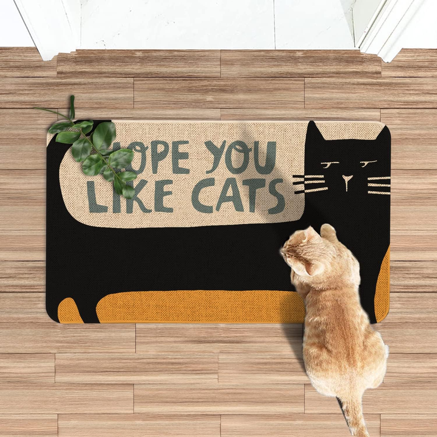 Roszwtit Cat Front Door Mat 30 X 17 Inch Black Cat Doormat Indoor Outdoor Funny Floor Mat Non Slip Rubber Hope You Like Cats Welcome Mats