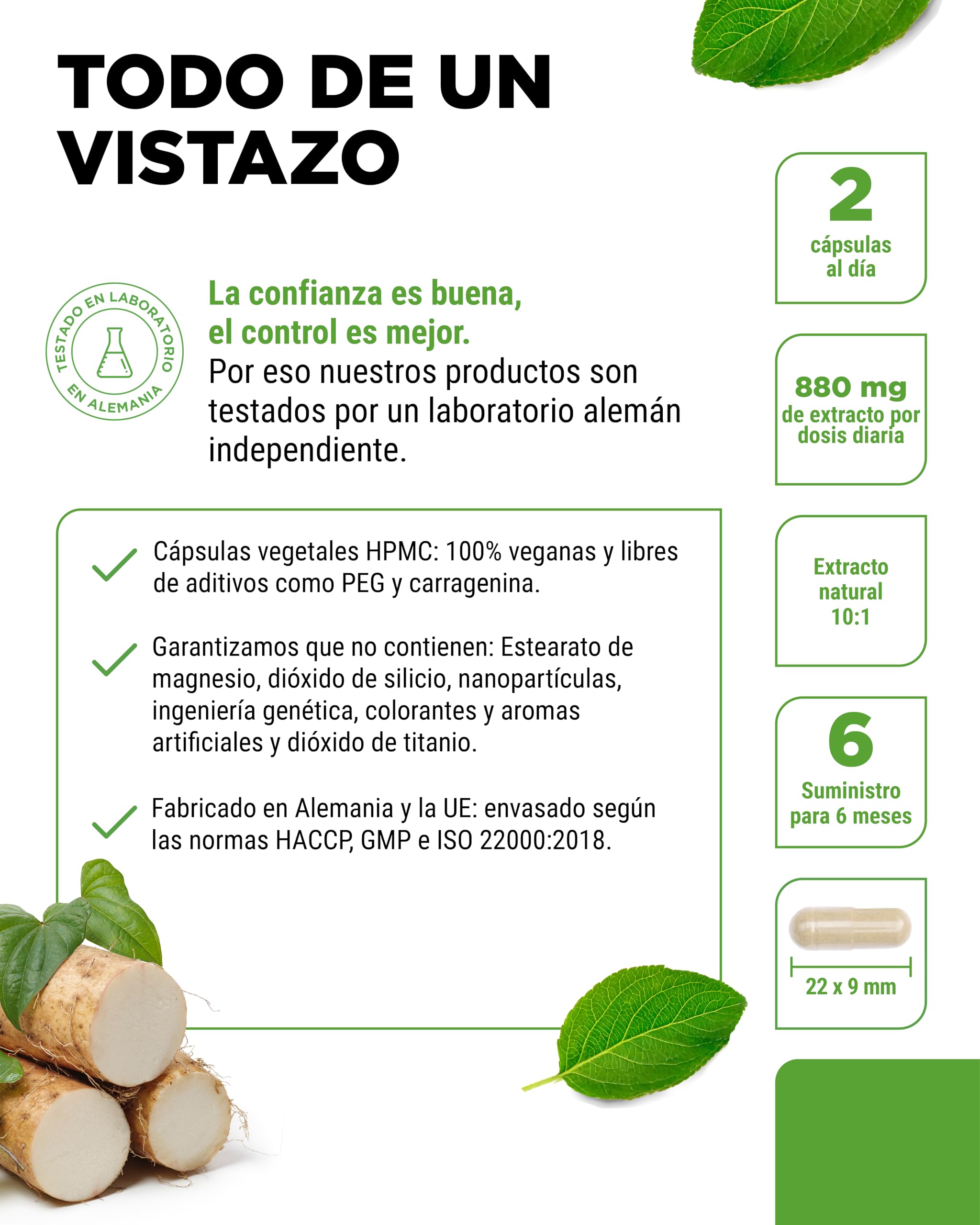 Wild Yam Root Extract - 365 cápsulas - Original Mexican Wild Yam Root - Altamente dosificado con 880 mg de extracto (incluyendo 176mg de diosgenina) por dosis diaria - Vegano