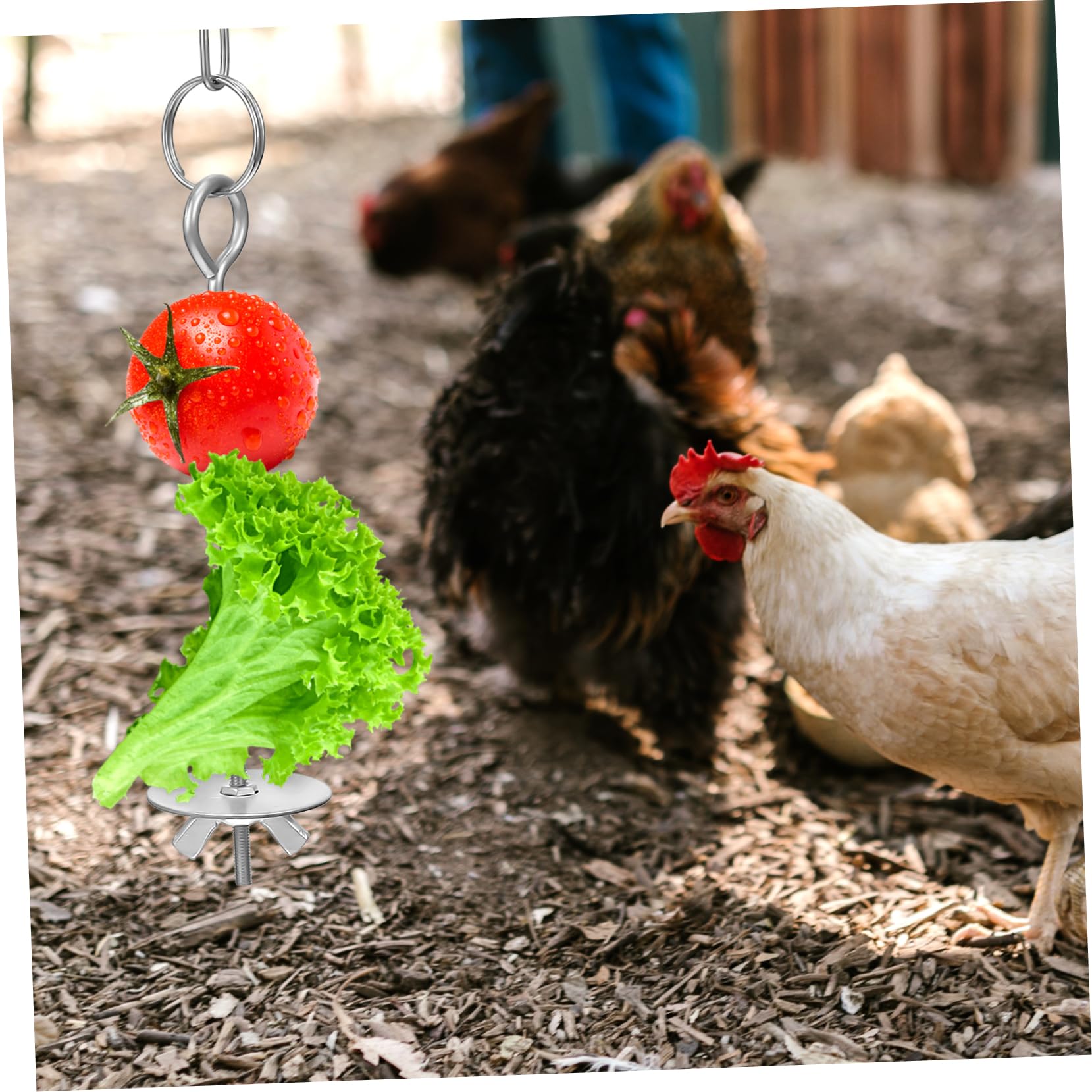 Mipcase Mangiatoia da Appendere per Pulcini e Galline, 4 Pezzi, in Acciaio Inox, Catena Regolabile, Facile da Appendere in Gabbia