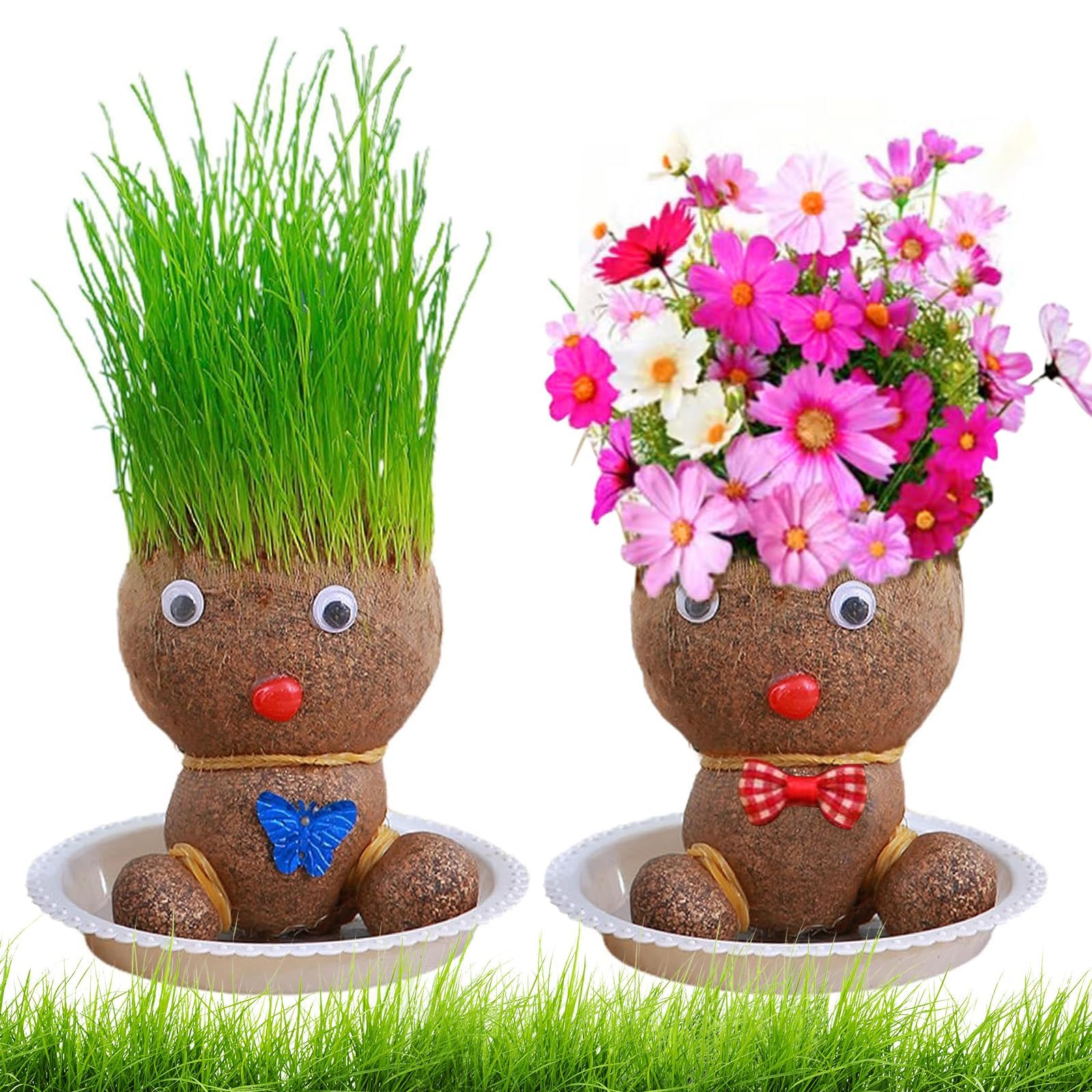 Tête d'herbe, tête de fleurs, tête d'herbe, plante de poupée, plante de poupée pour enfants, mini bonsaï herbe, tête de fleur, tête d'herbe, bonsaï, avec plateau, plantes en pot pour chambre