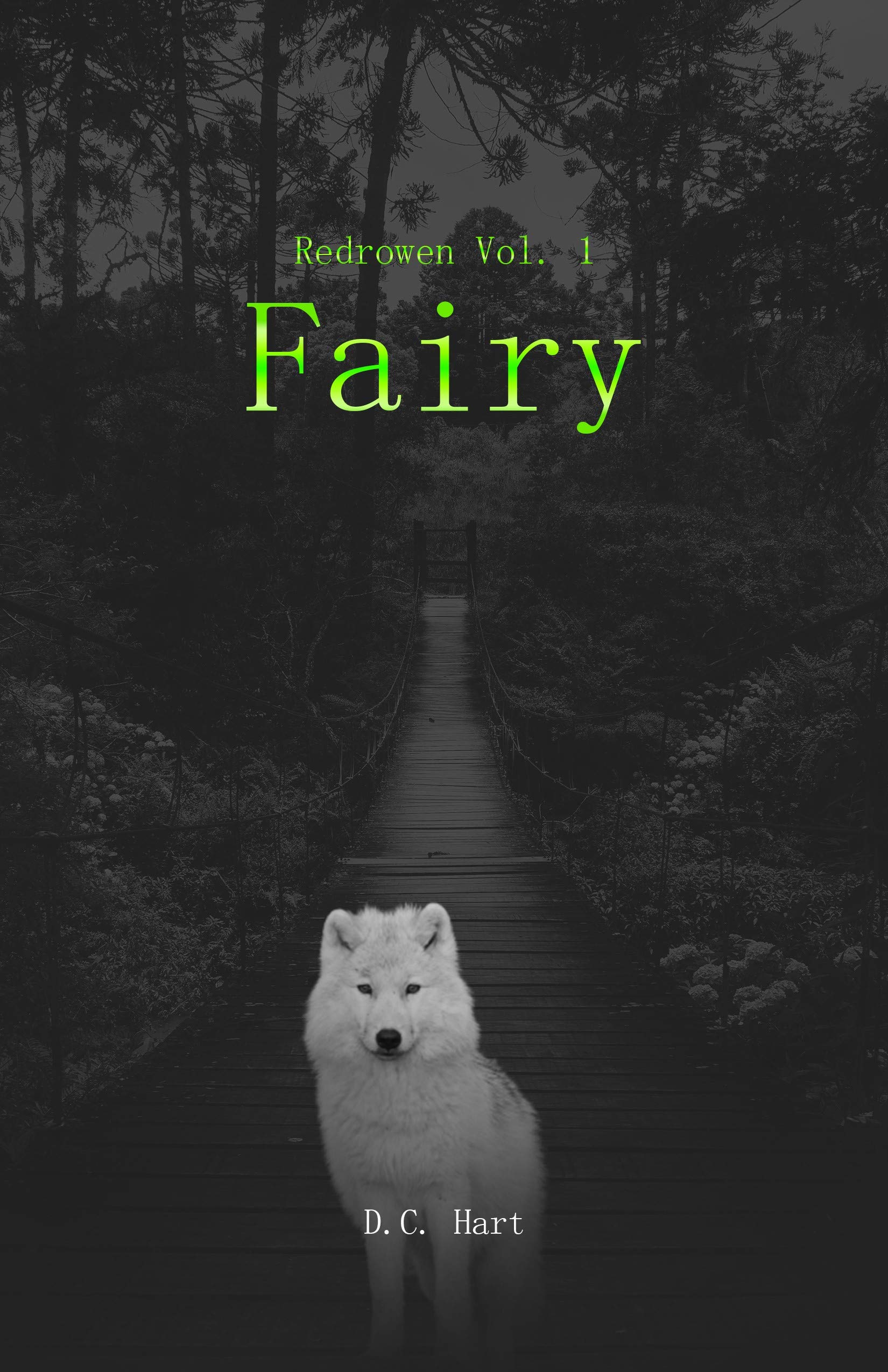Book cover for Fairy