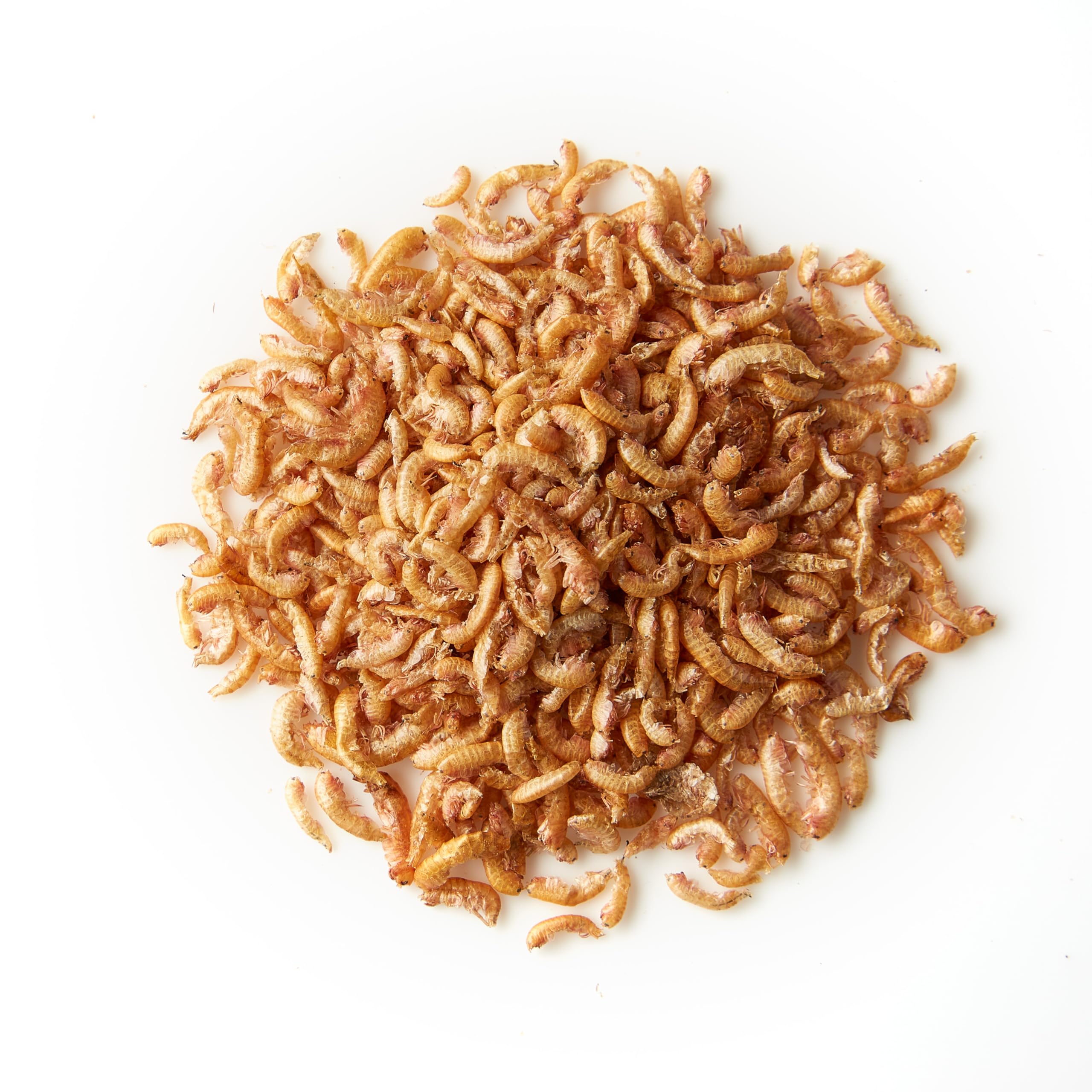 KOIPON Shrimps 10 L getrocknet, Süßwassergarnelen-Naturfutter für Koi | Getrocknete Süßwassergarnelen als Naturfutter & Leckerli – proteinreiche Ergänzung zum Koifutter für Koi & Goldfische