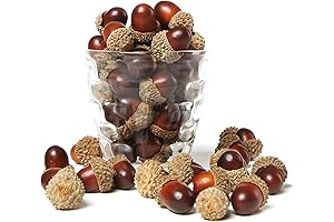 Brown Assorted Artificial Acorn Caps: A Nature-Inspired Vase Filler for Autumn Decor