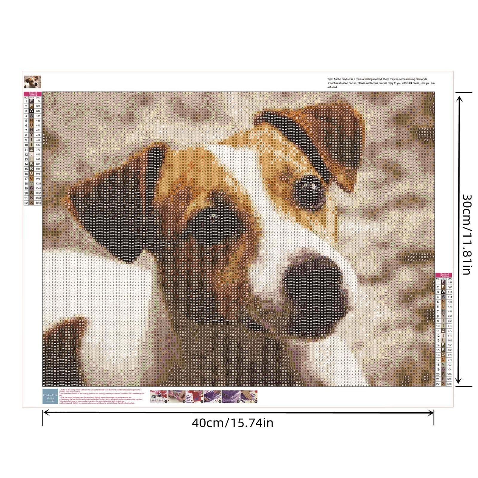 Diamond Painting 5D Fai Da Te – Jack Russell Terrier – Kit Quadro Cristalli 50x50 Cm - 4