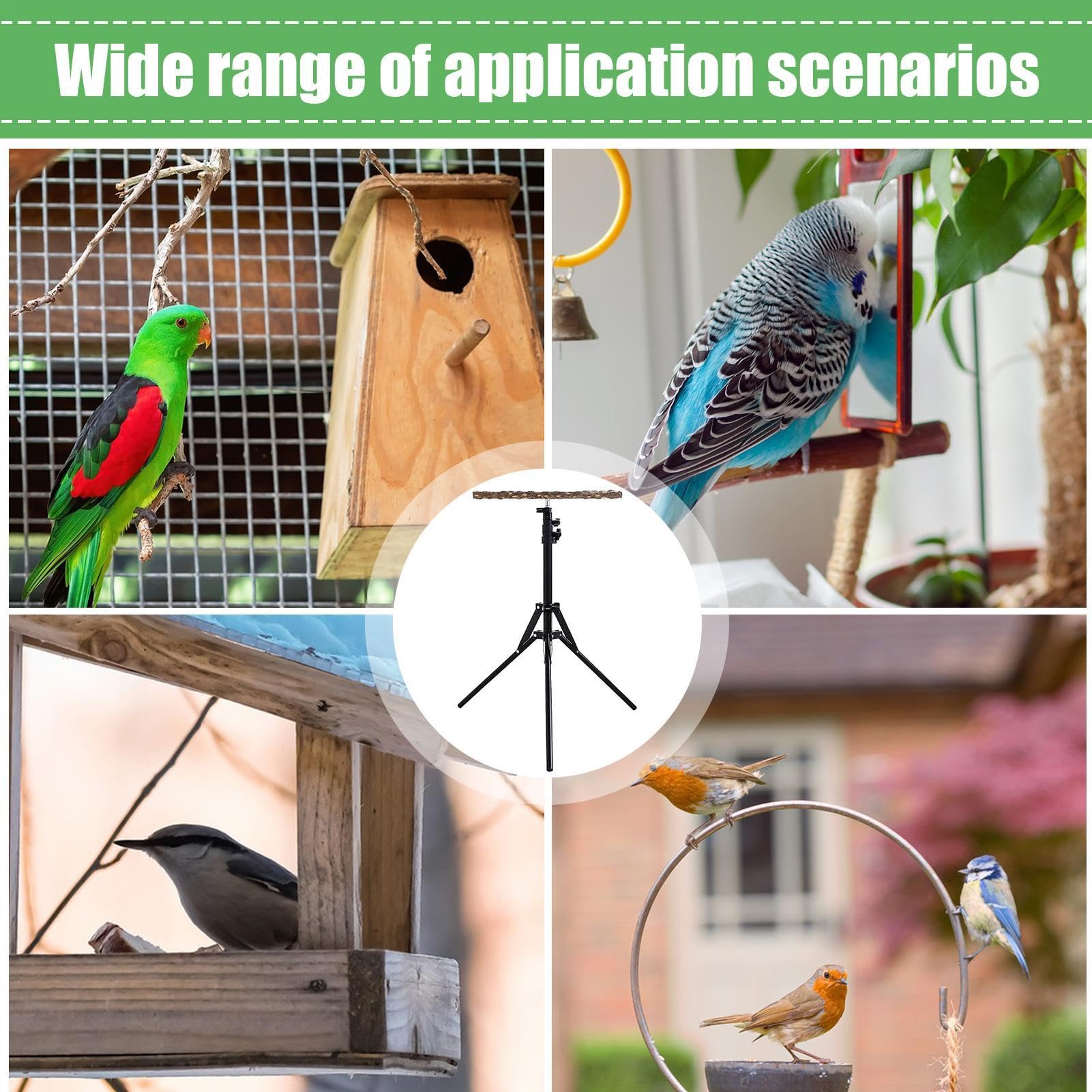 Support de perchoir réglable pour Oiseaux – 40 à 157 cm de Hauteur