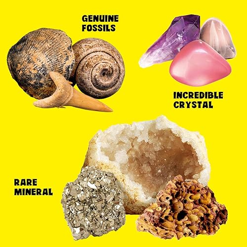 Miniatura 3 de Kit de colección de rocas, minerales y fósiles para niños, más de 250 piedras preciosas reales y cristales. Kit de identificación de rocas incluye