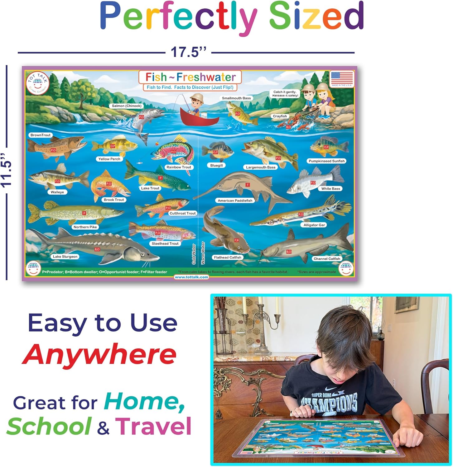 Tot Talk Fish - Freshwater Educational Placemat for Kids – Made in USA – Durable, Double-Sided, Fish Facts & Fishing Gear – Waterproof, Wipeable, 17.5” x 11.5”