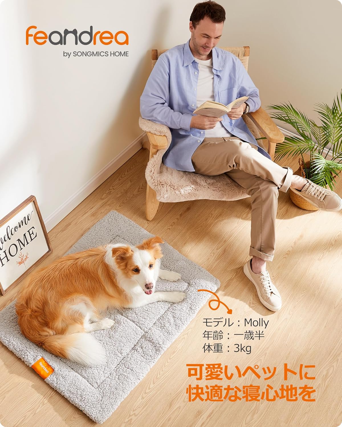 フローリングの上に敷かれたクッションで伏せる犬