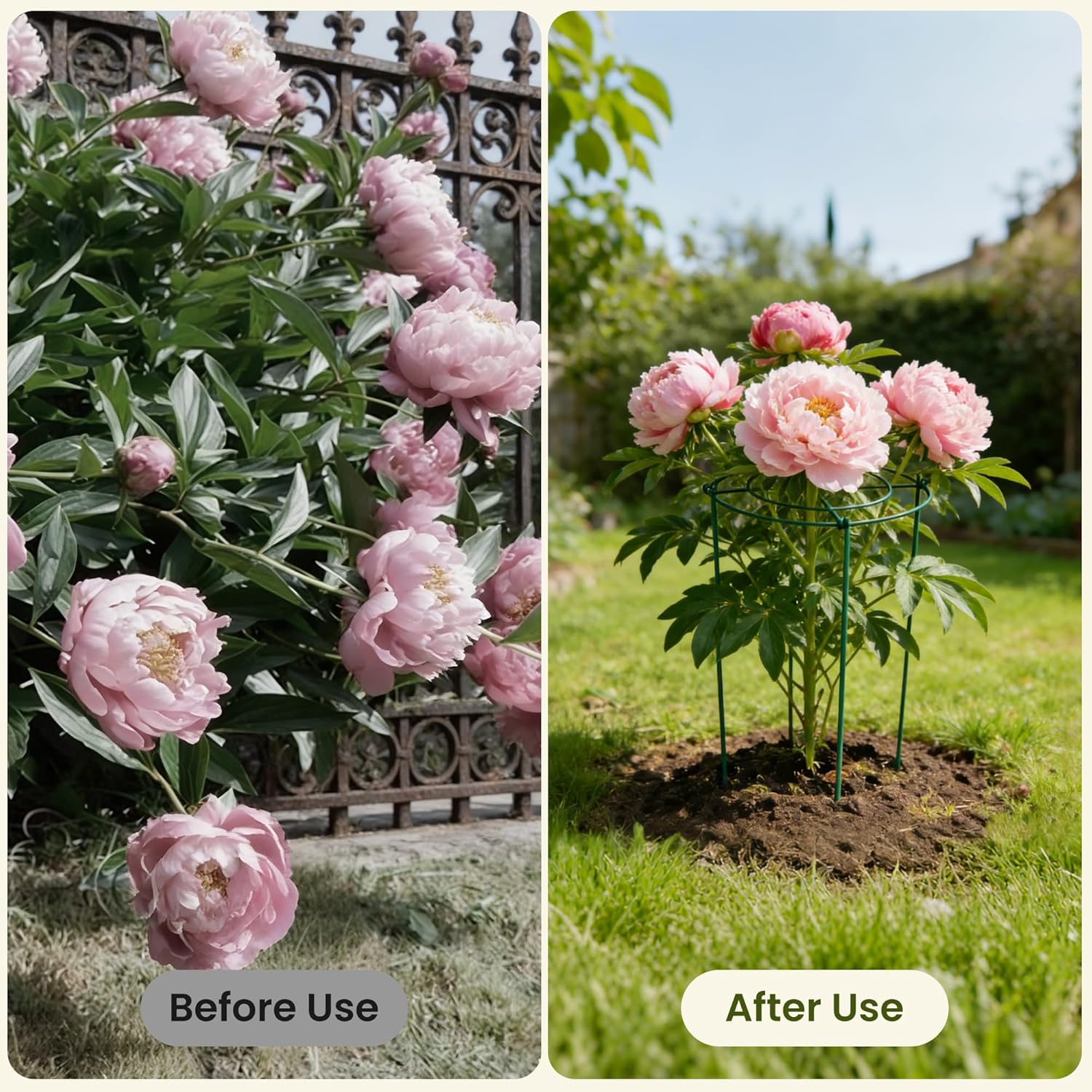 6 Pack Peony Cages and Supports, 12" x 24" Tall Peonies Support Cage, Heavy Duty Metal Peony Stakes and Supports for Rose Hydrangea Flower Plant