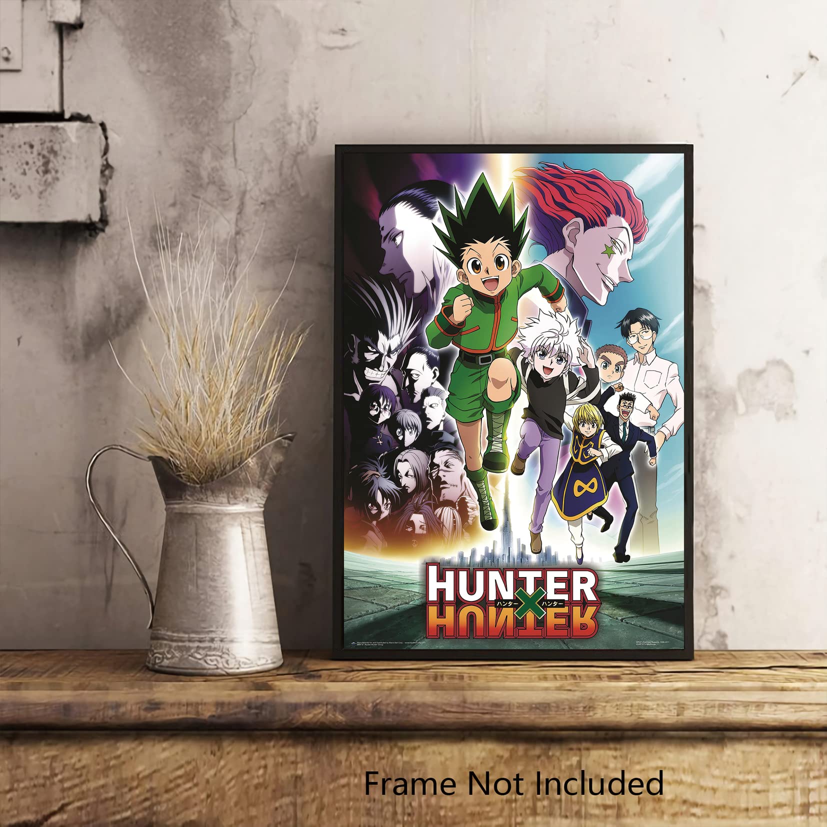 Amazon.com: XIHOO Christ-EZ Hunter X Hunter - Manga/Anime TV Show