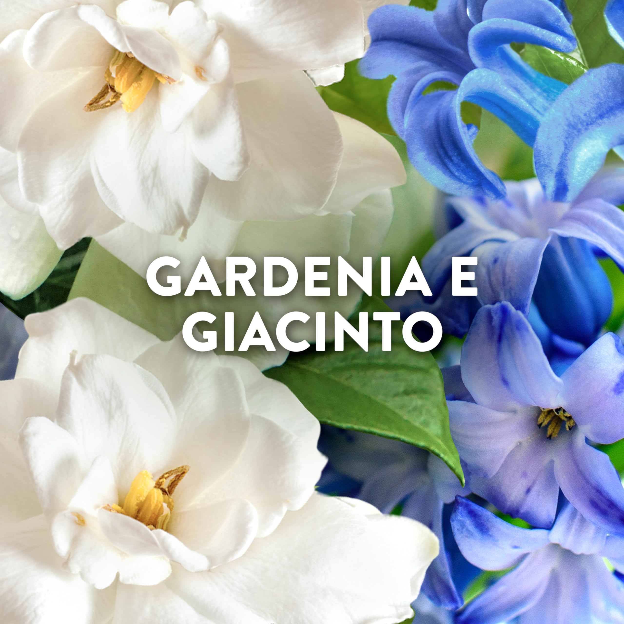 Lenor Ammorbidente Lavatrice Concentrato Essenze d’Italia, 216 Lavaggi (8x27), Capri, Note Di Gardenia e Giacinto, Profumo autentico di lunga durata