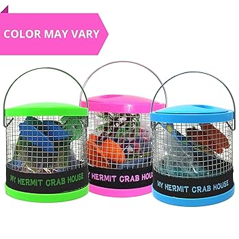 バッグ STANDARD SUPPLY for Hermit Club Amazon.com : Needzo DIY Terrarium Kit, Medium Hermit Crab