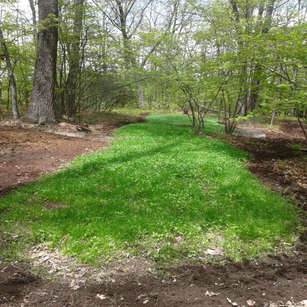 Antler King No Sweat No Till Plot Mix