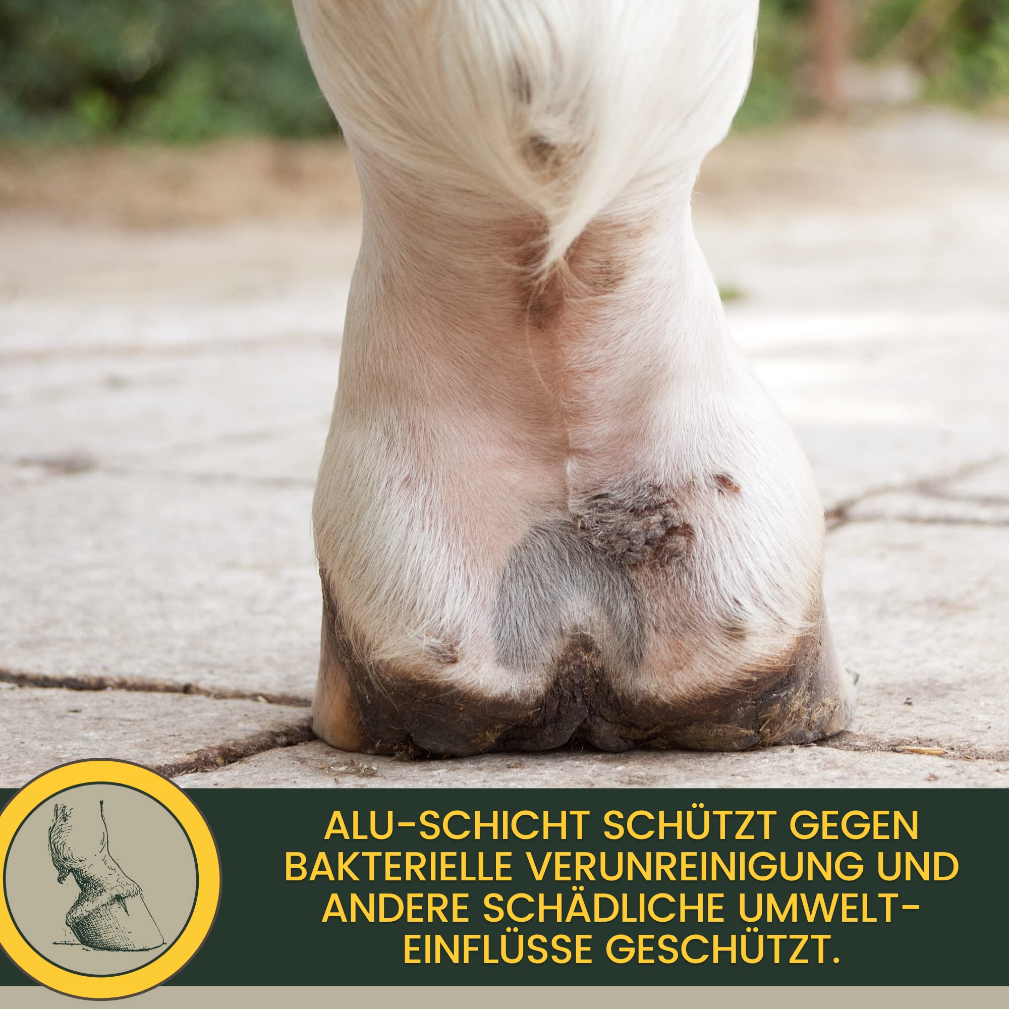 EMMA Silberspray + Zinkspray 2x200 ml für Tiere – Wundspray & Schutzfilm für Hund, Pferd, Katze – Aluminium Spray gegen Schmutz & Feuchtigkeit – Zink Spray für Wundschutz, Juckreiz & Hautpflege