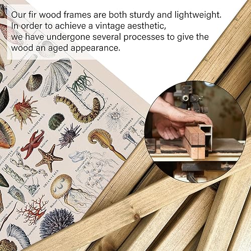 Miniatura 72 de XIAOAIKA Póster de botánica vintage con marco de madera, tabla de plantas venenosas antiguas, arte educativo botánico con especies peligrosas, 1