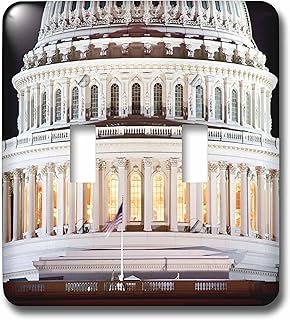 3dRose lsp_259160_2 Close Up of the Us Capitol Buildings Dome, Washington Dc Toggle Switch, Mixed