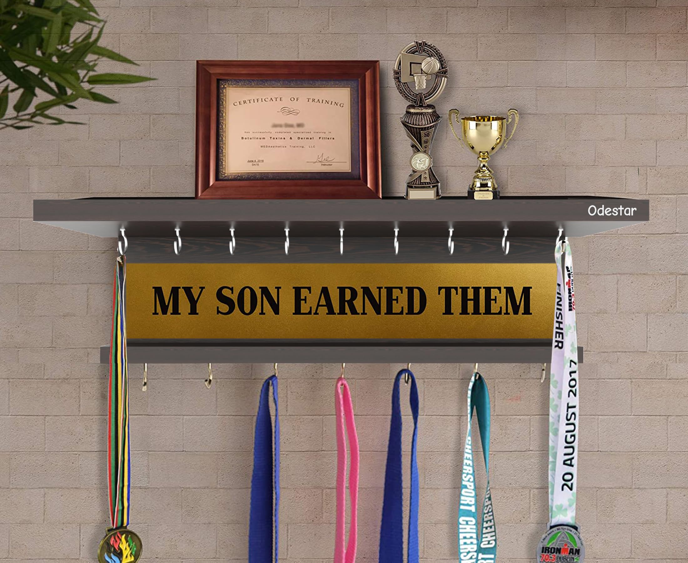Odestar Large Medal Holder-My Son Earned Them (Size 48 x 15 x 15 Centimeters) Wenge-picture-10