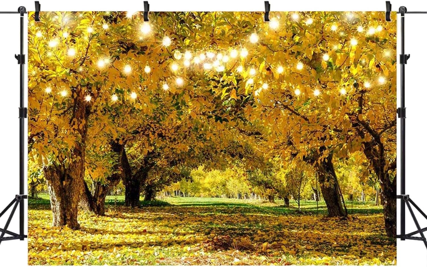 低価格で大人気の バック紙 背景紙 壁紙 ウォールペーパー イベント パーティー 秋 オータム